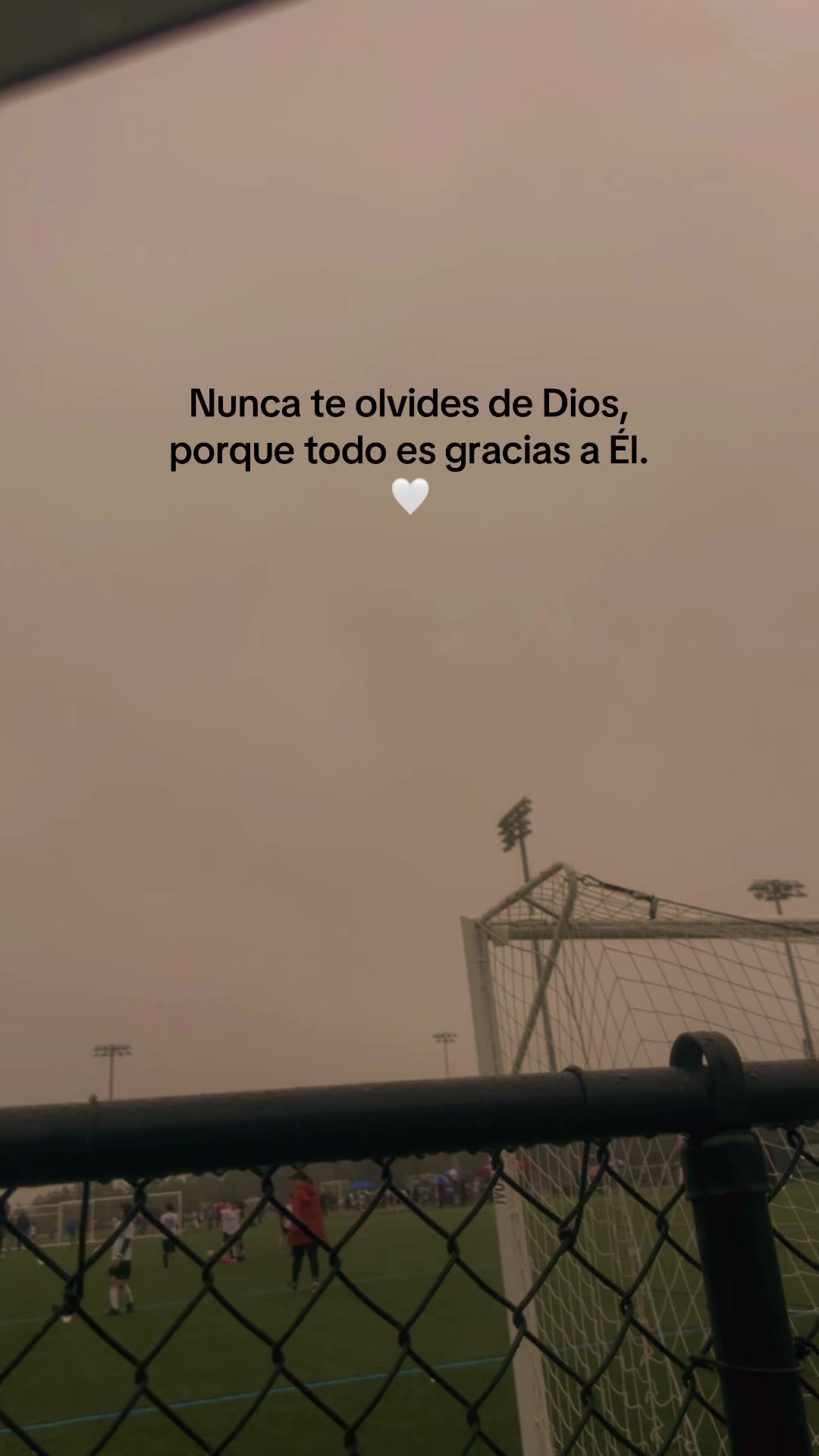@lourdesruiz11🥰🫶🏻🎁🇸🇻🌲