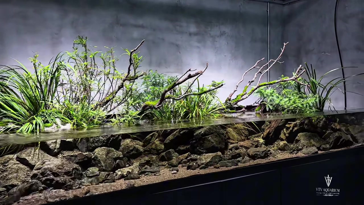 @Layout Biotope Sài Gòn VTV