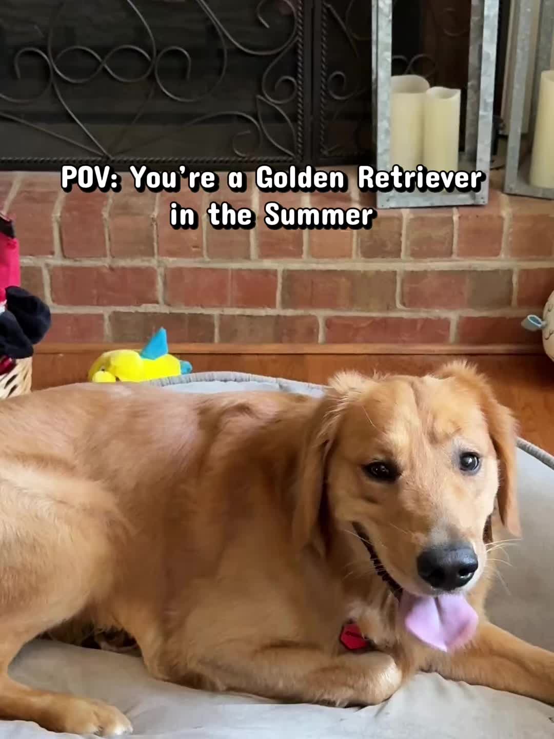 @Charlie the Golden