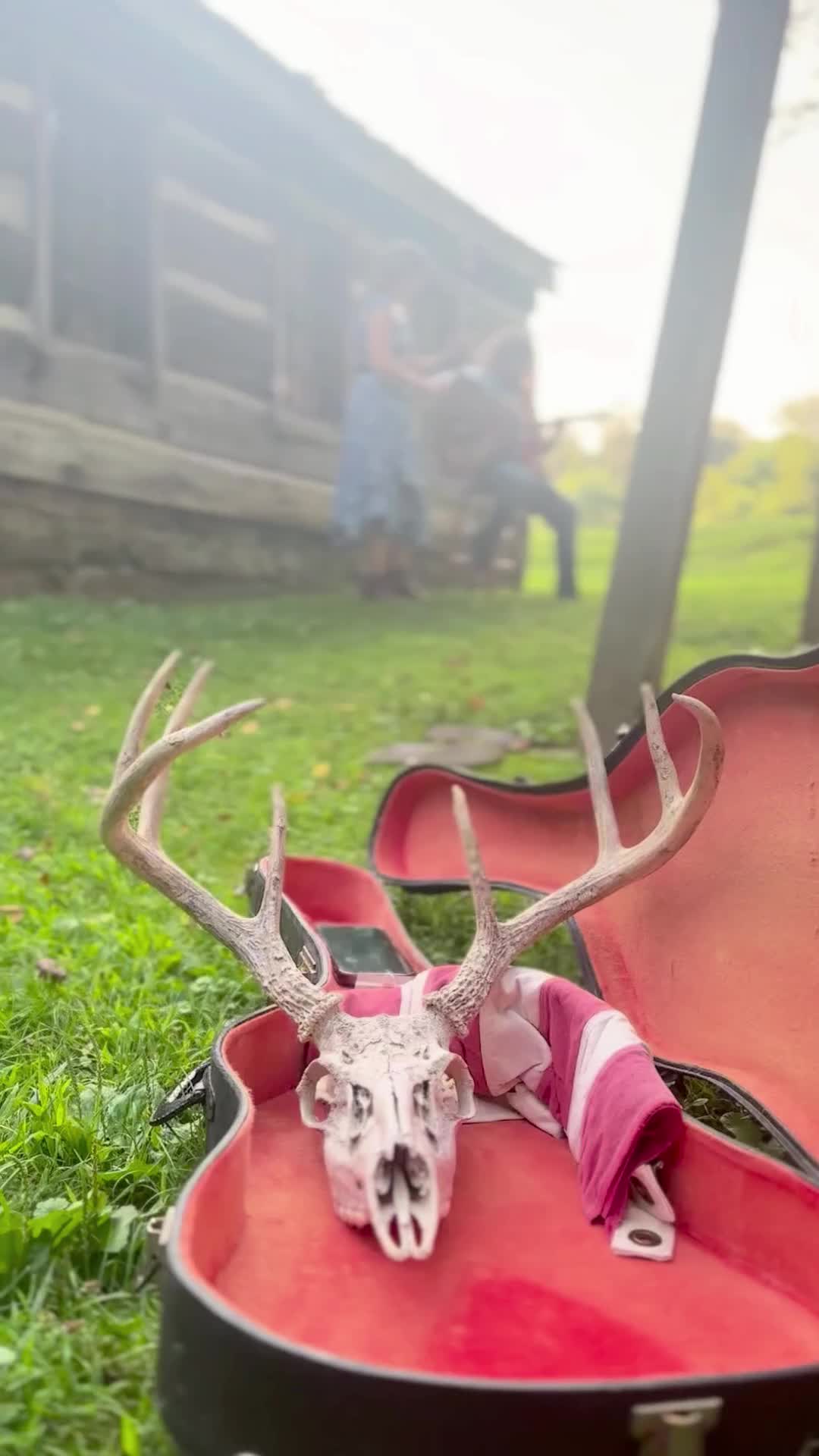 @ajandthewoods