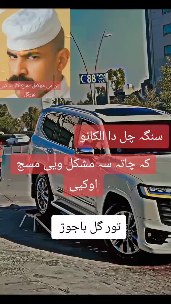 @🥇 تور۔ گل باجوڑ 🥇