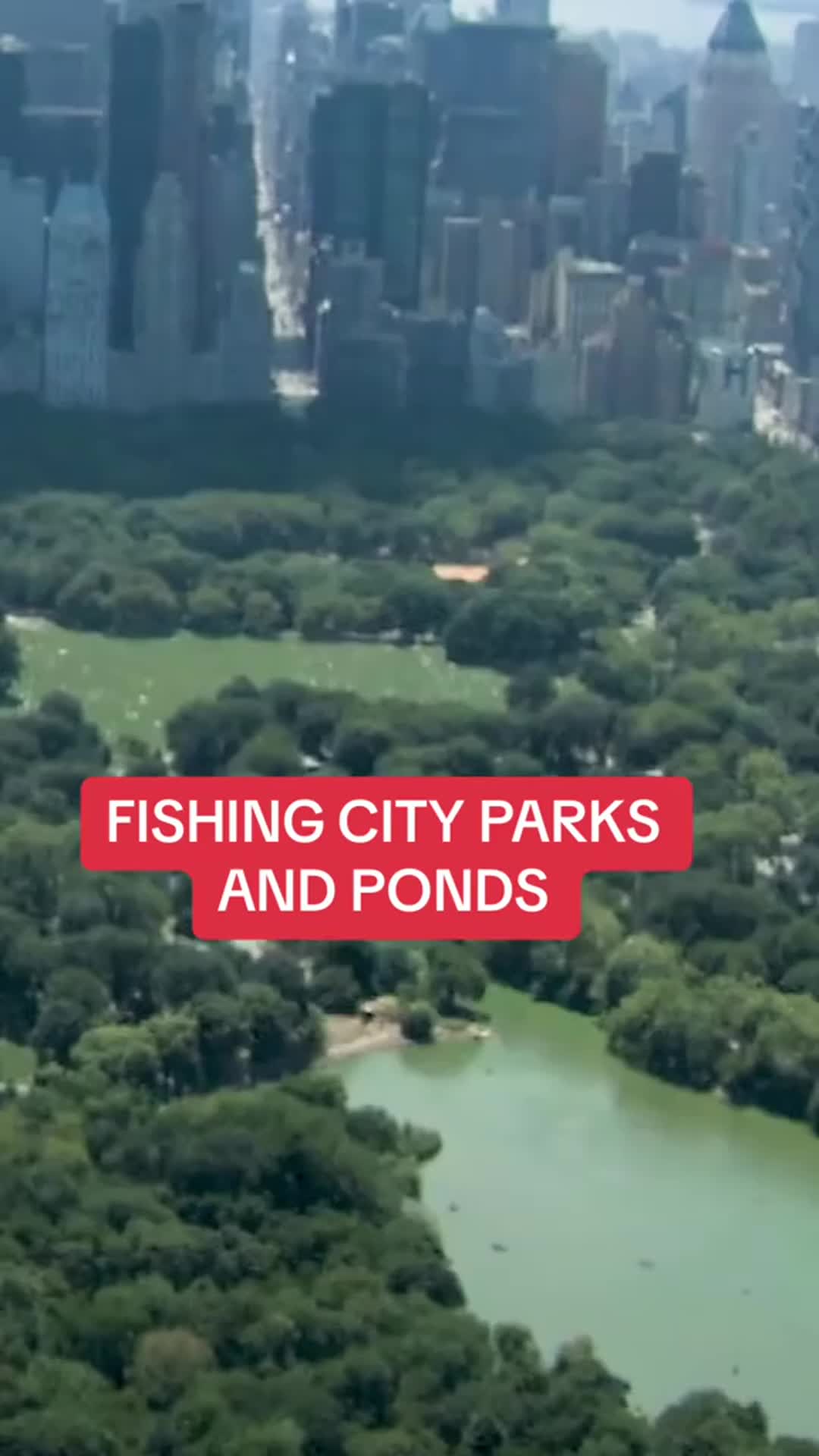 @Lunkerville