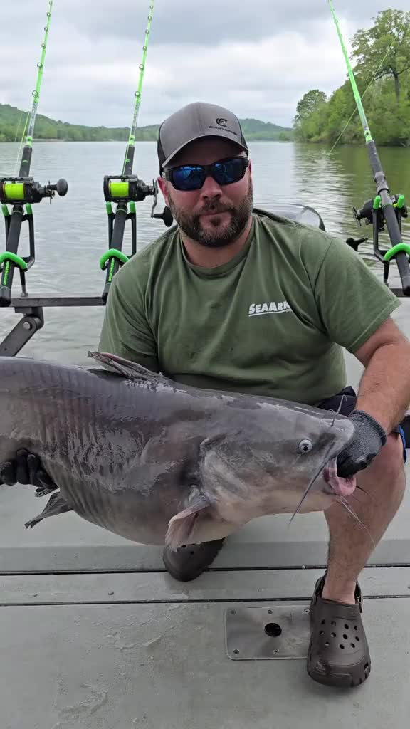 @The Catfishing Duo.