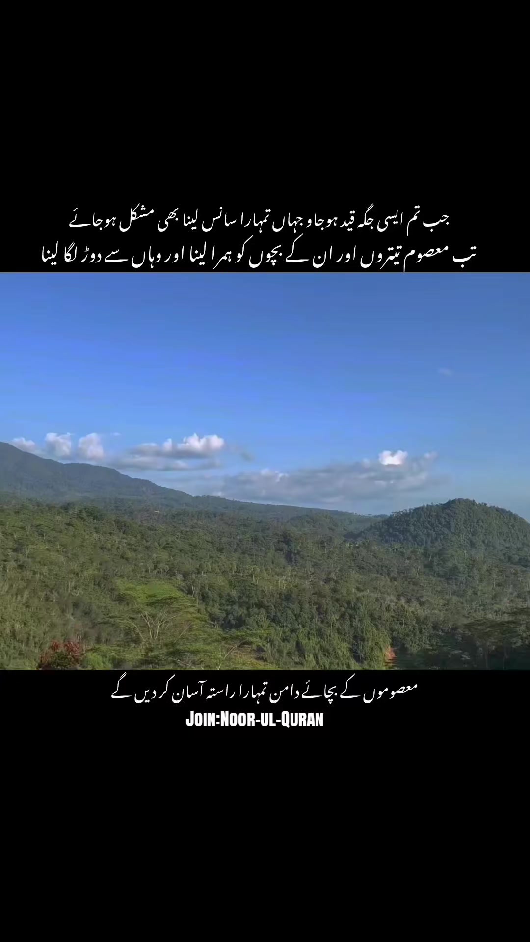 @قیس ✨🤍