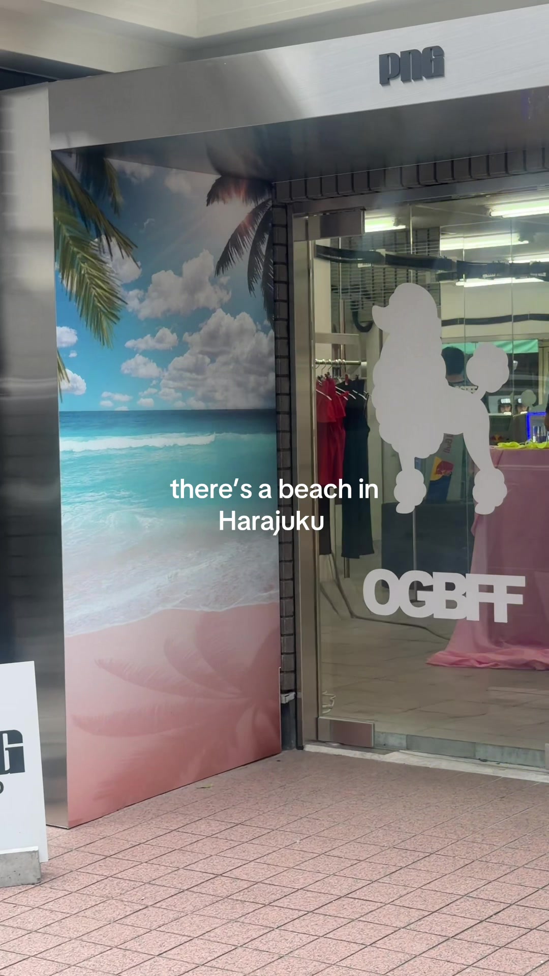 @OGBFF.COM