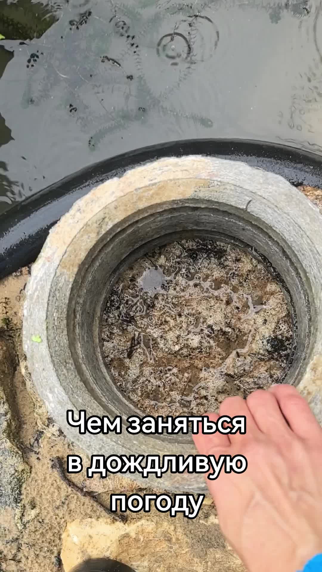 @Жулик на даче
