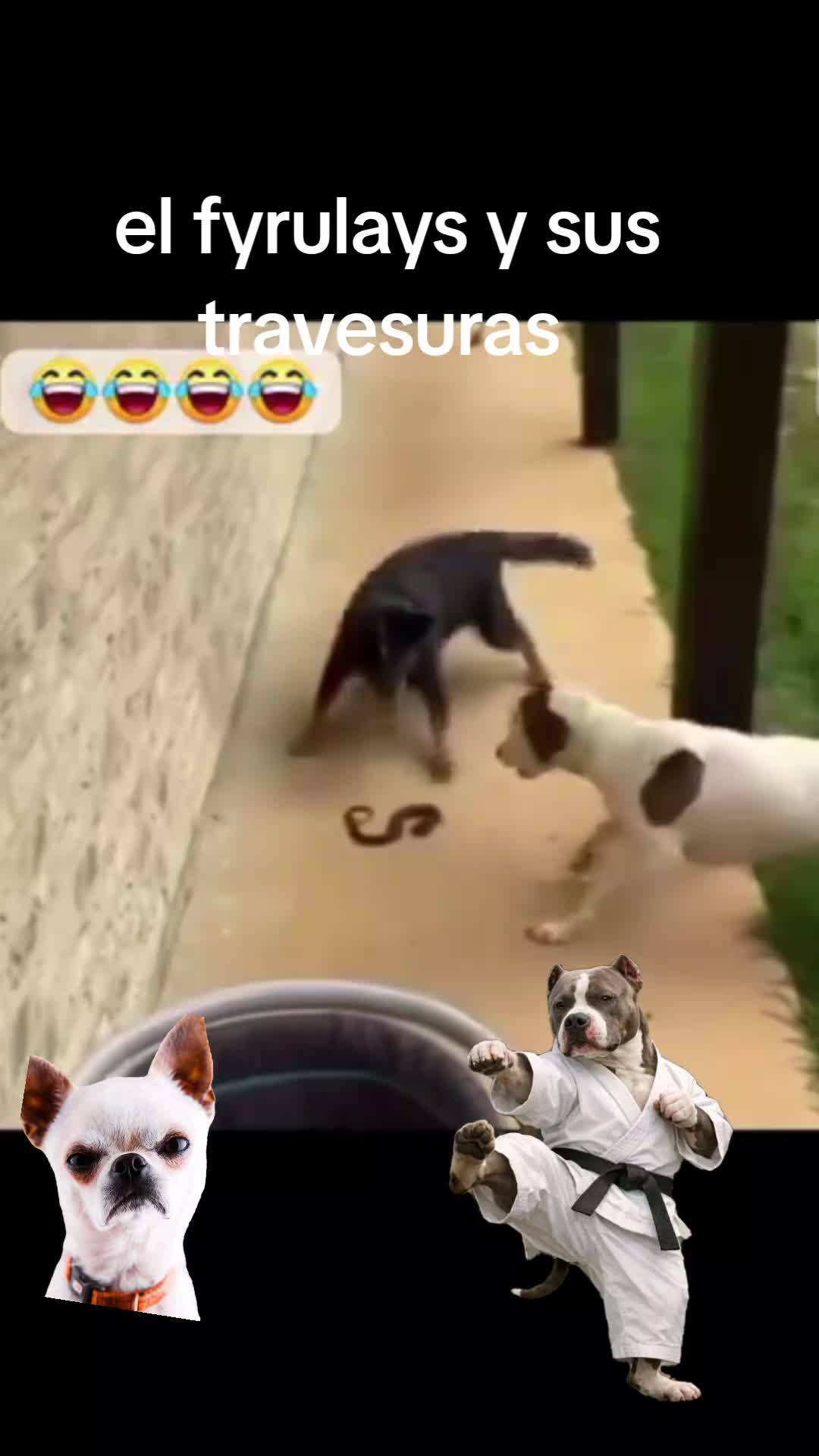 @rikum🇲🇽