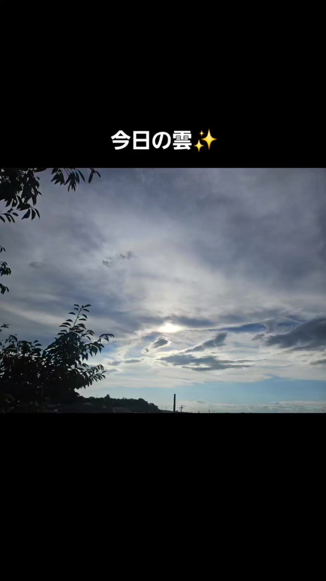 @龍神Artist無限龍