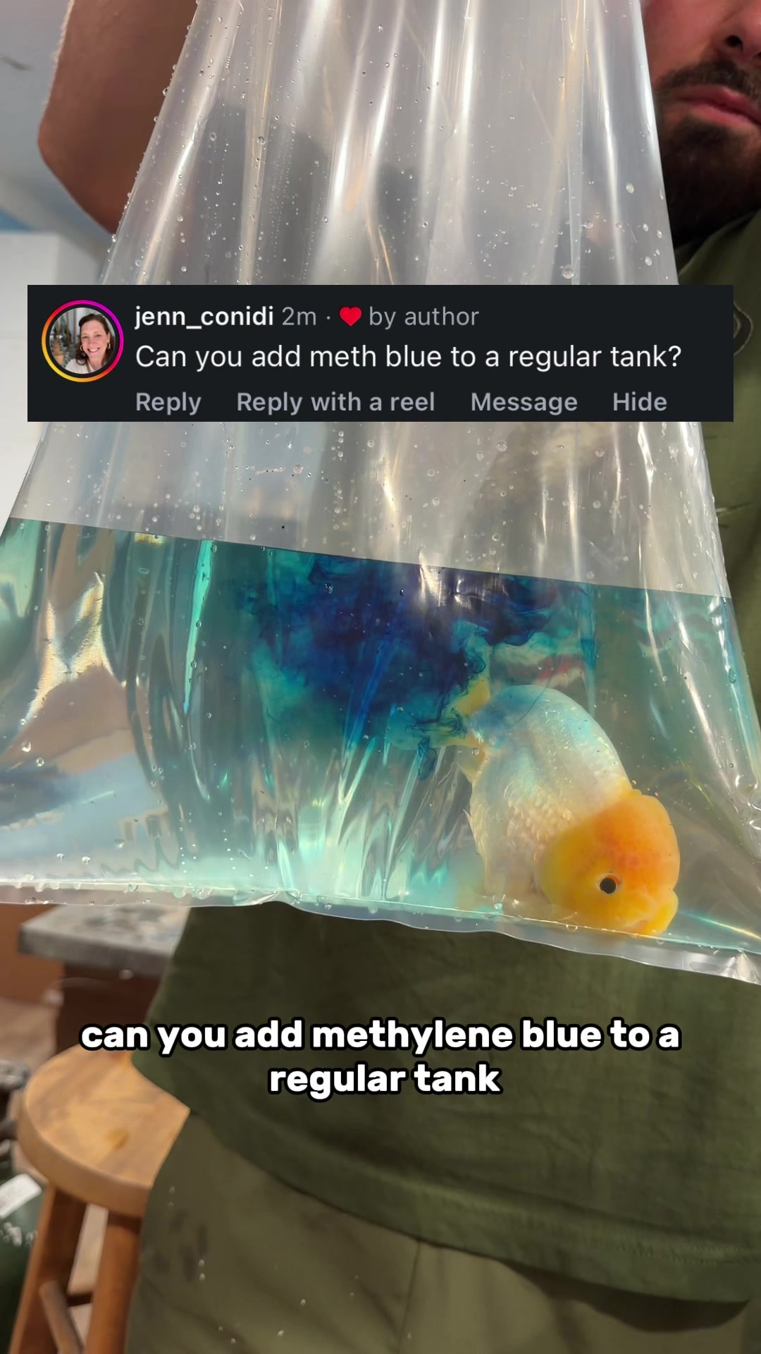 @The Goldfish Guy
