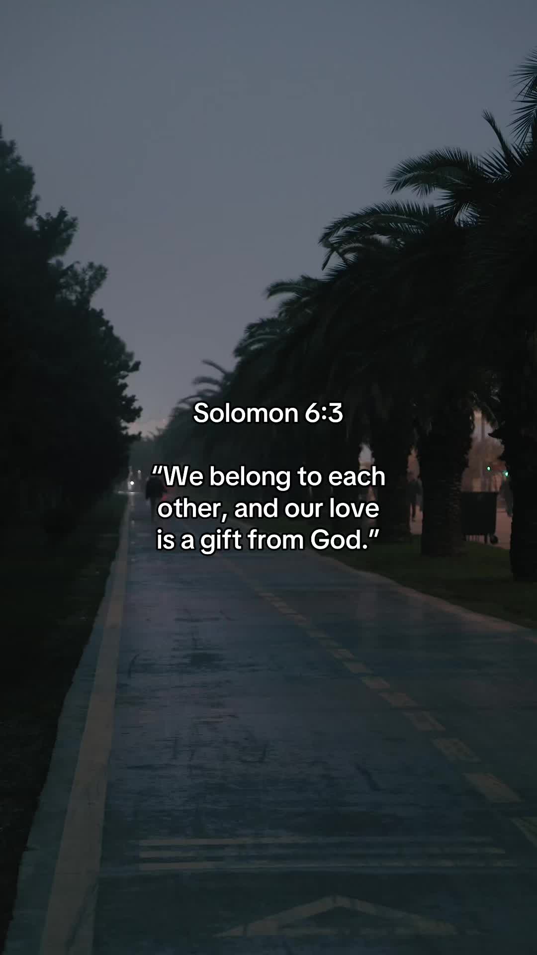 @Vibrant_Bible
