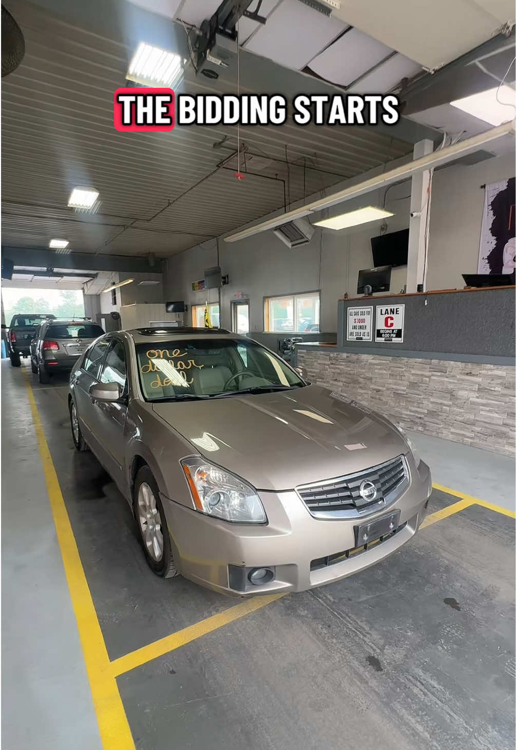 @Lehigh Valley Auto Auction