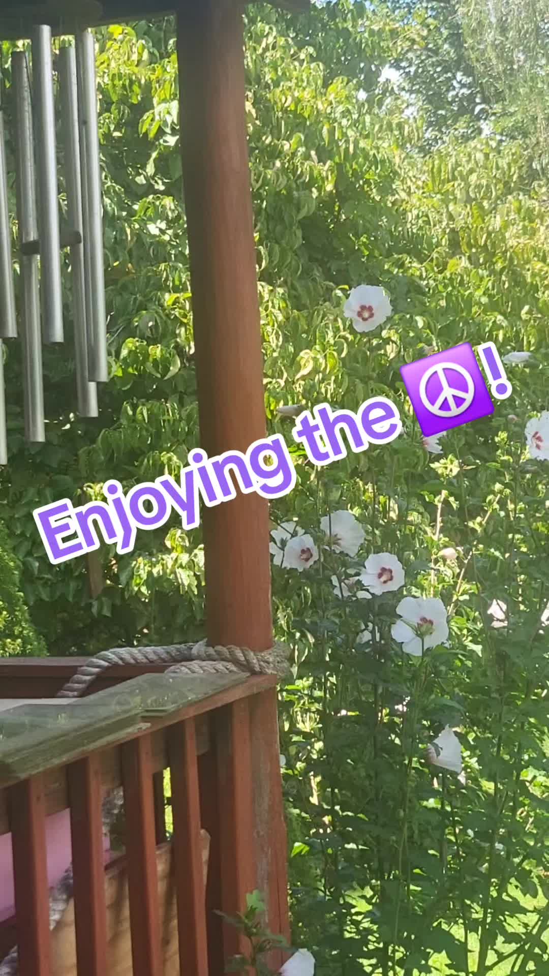 @D'NeNe