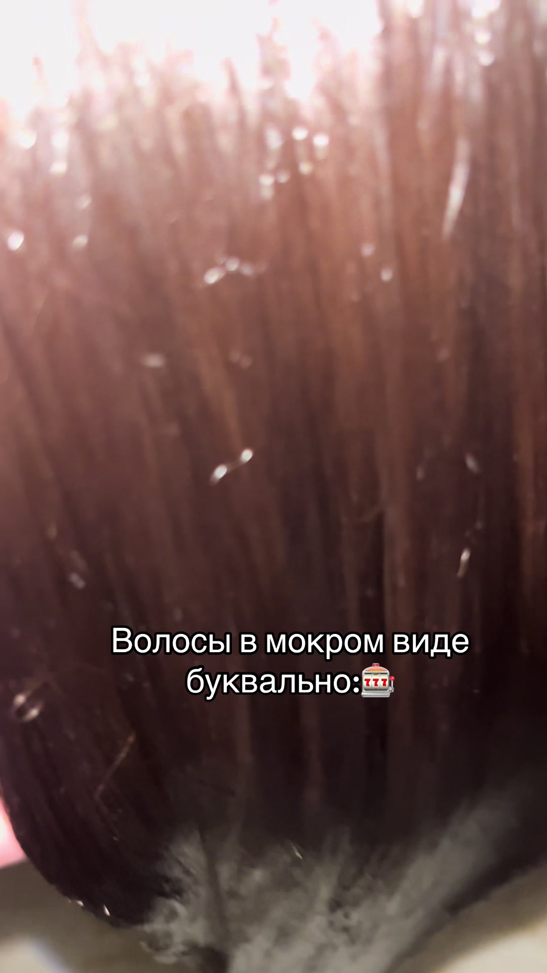 @introquiet