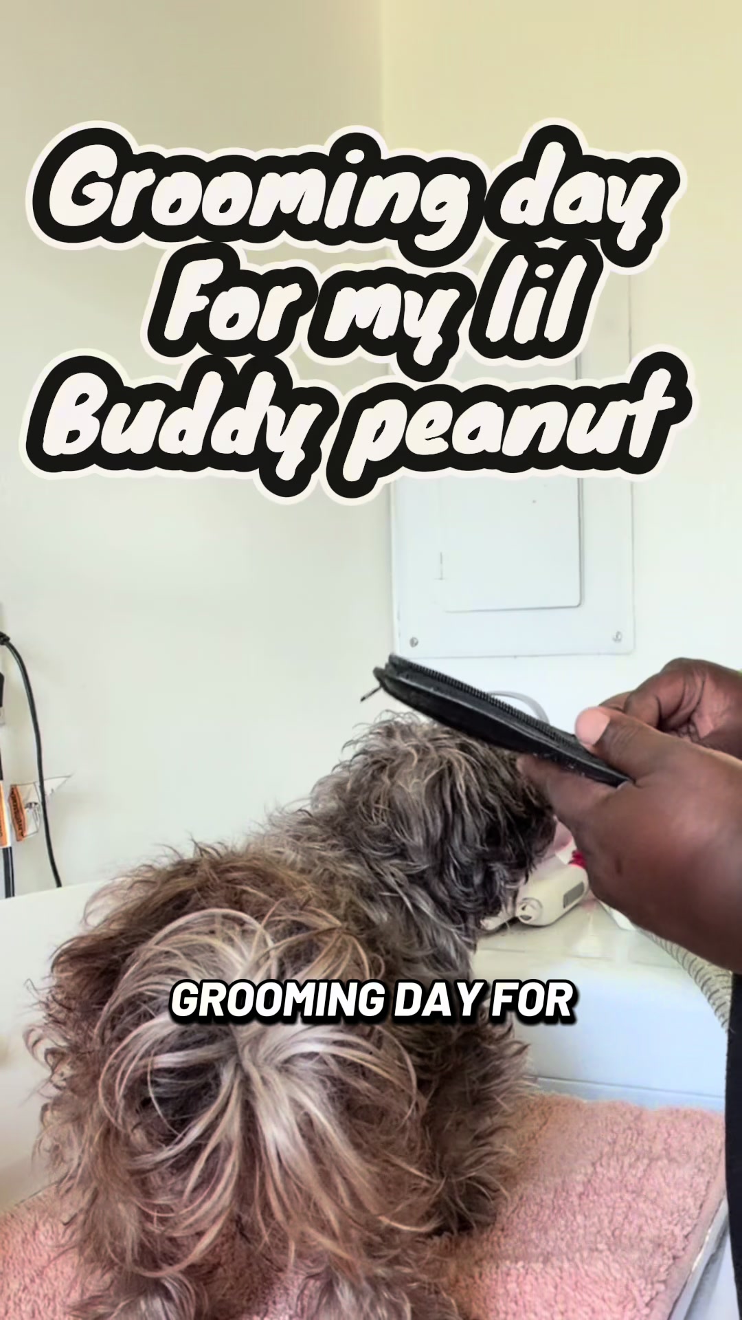 @sugabear