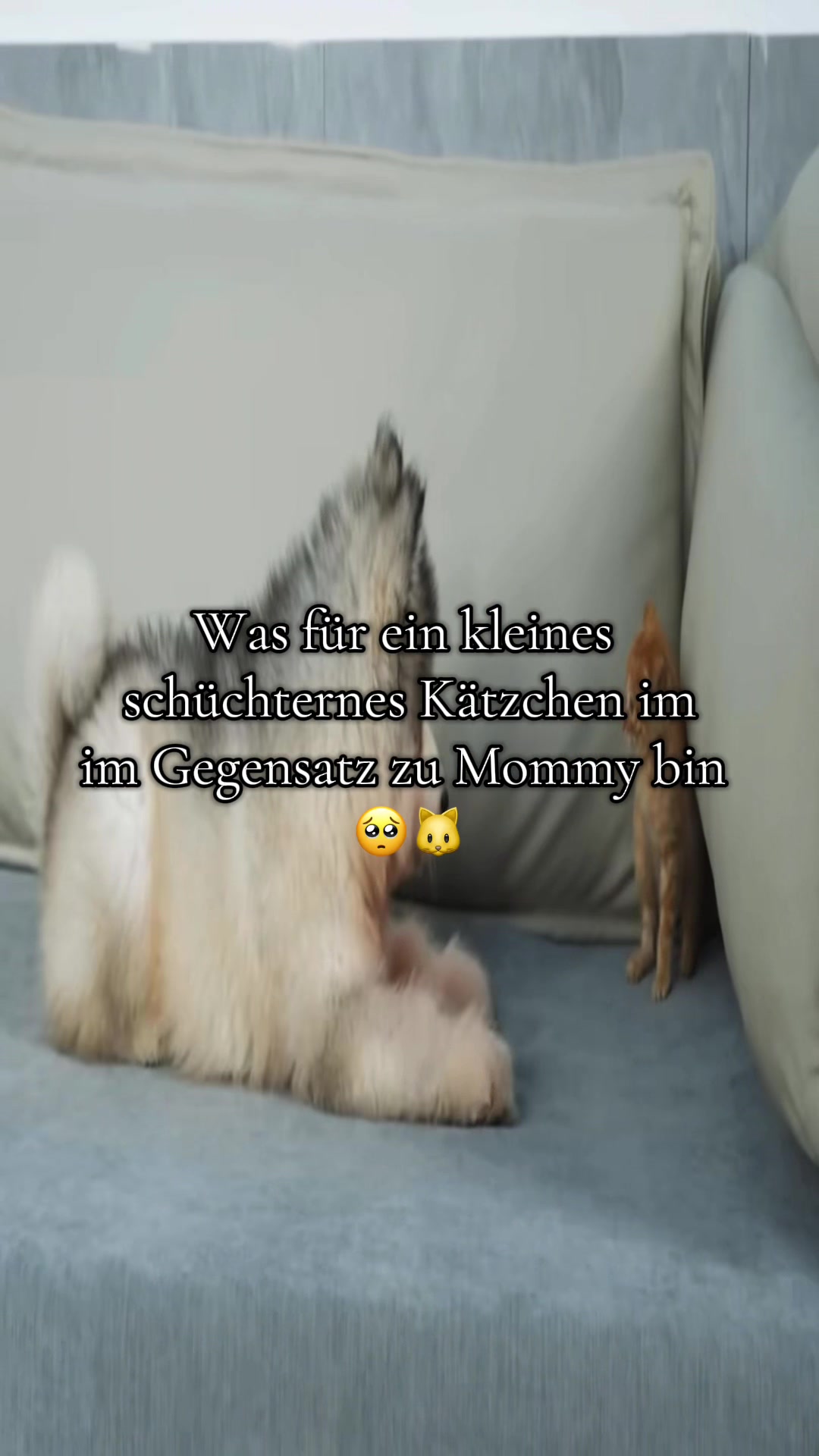 @Eierkopfsalat