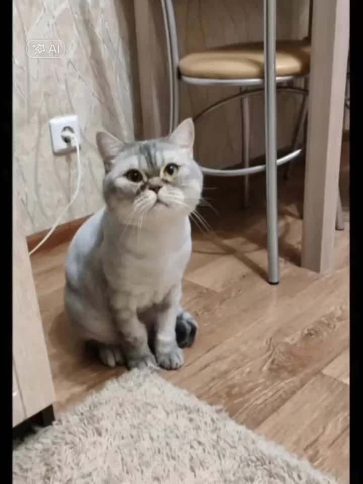 @Лучший тик токер из всех