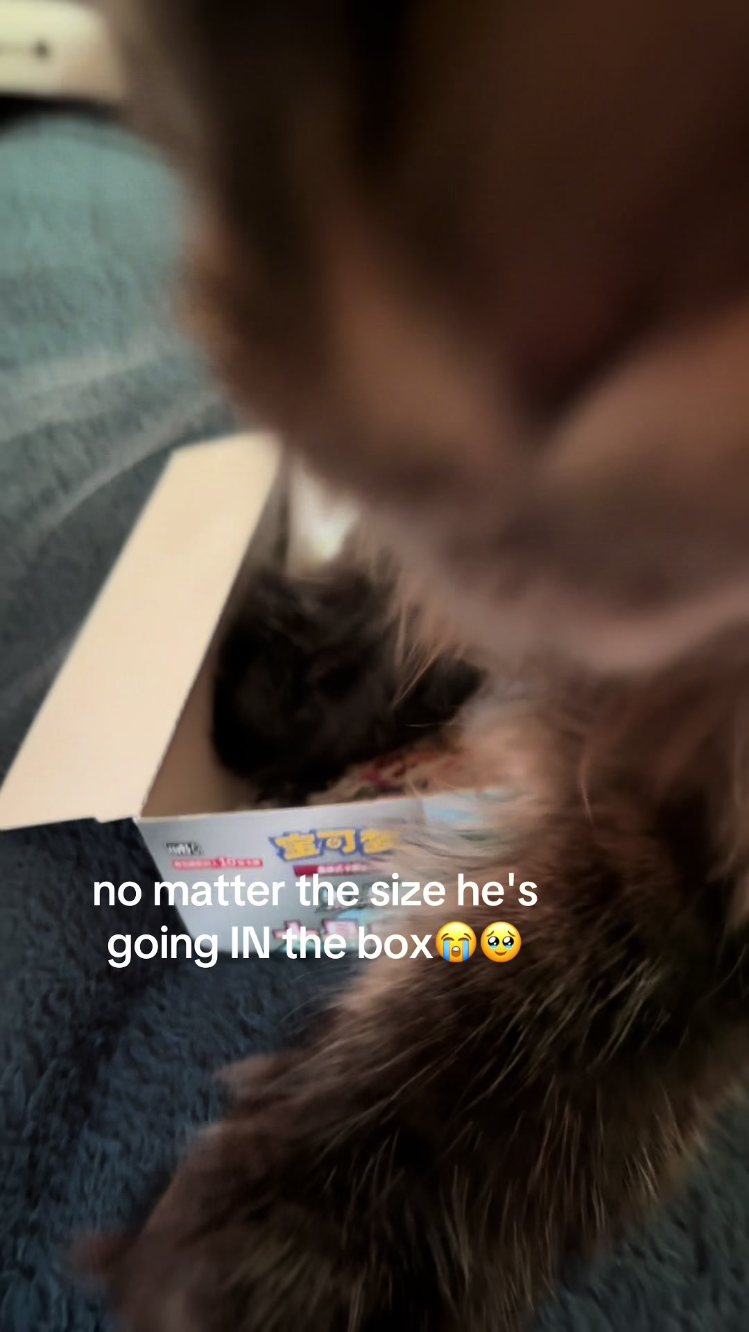 @maryyy🍄🧚🌙🐈&zwj;⬛