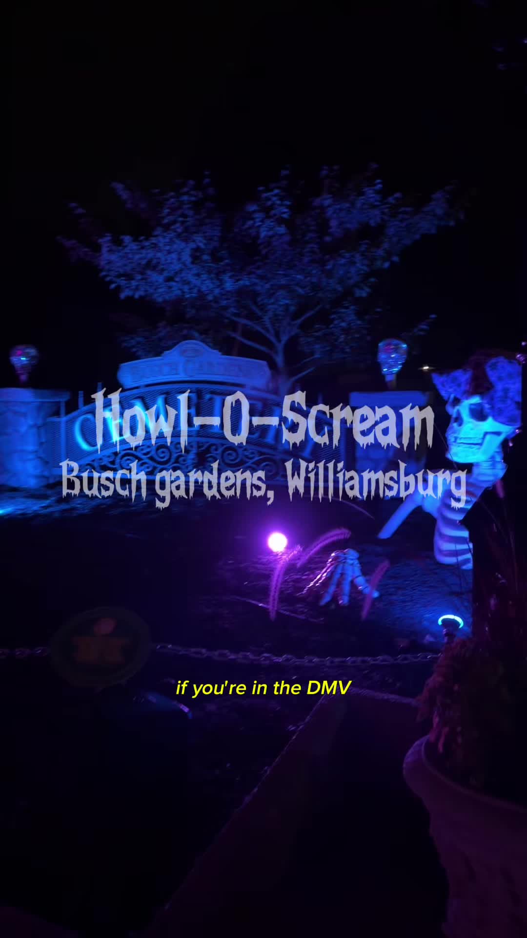 @꧁m꧂