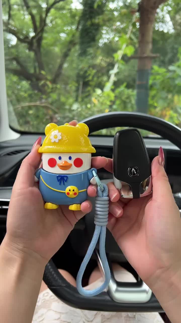 @carmallpro.com