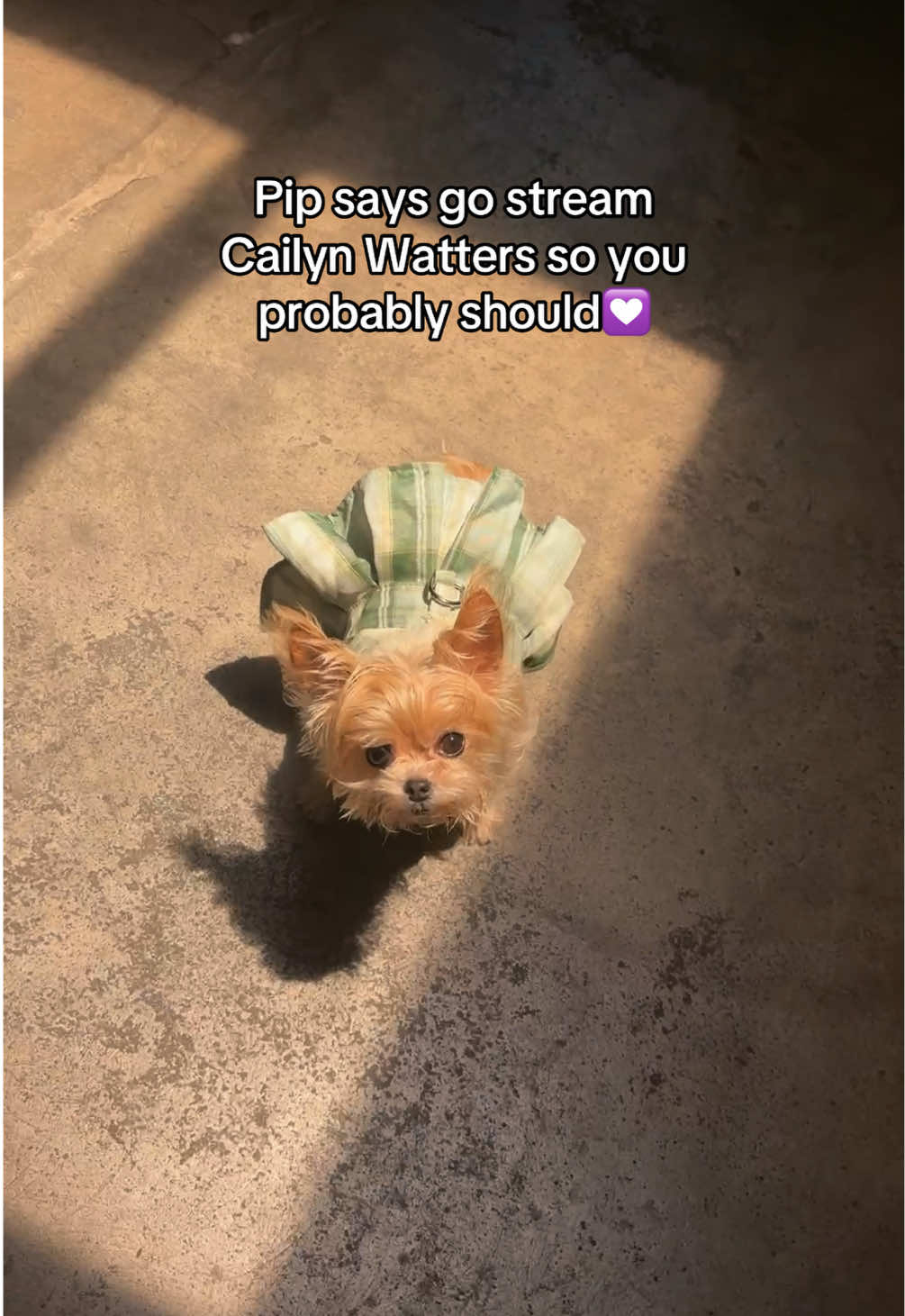 @Cailyn Watters