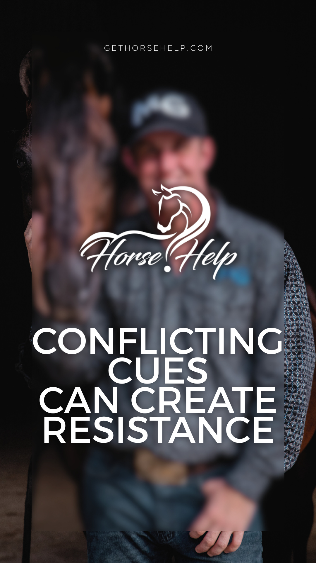 @Horse Help