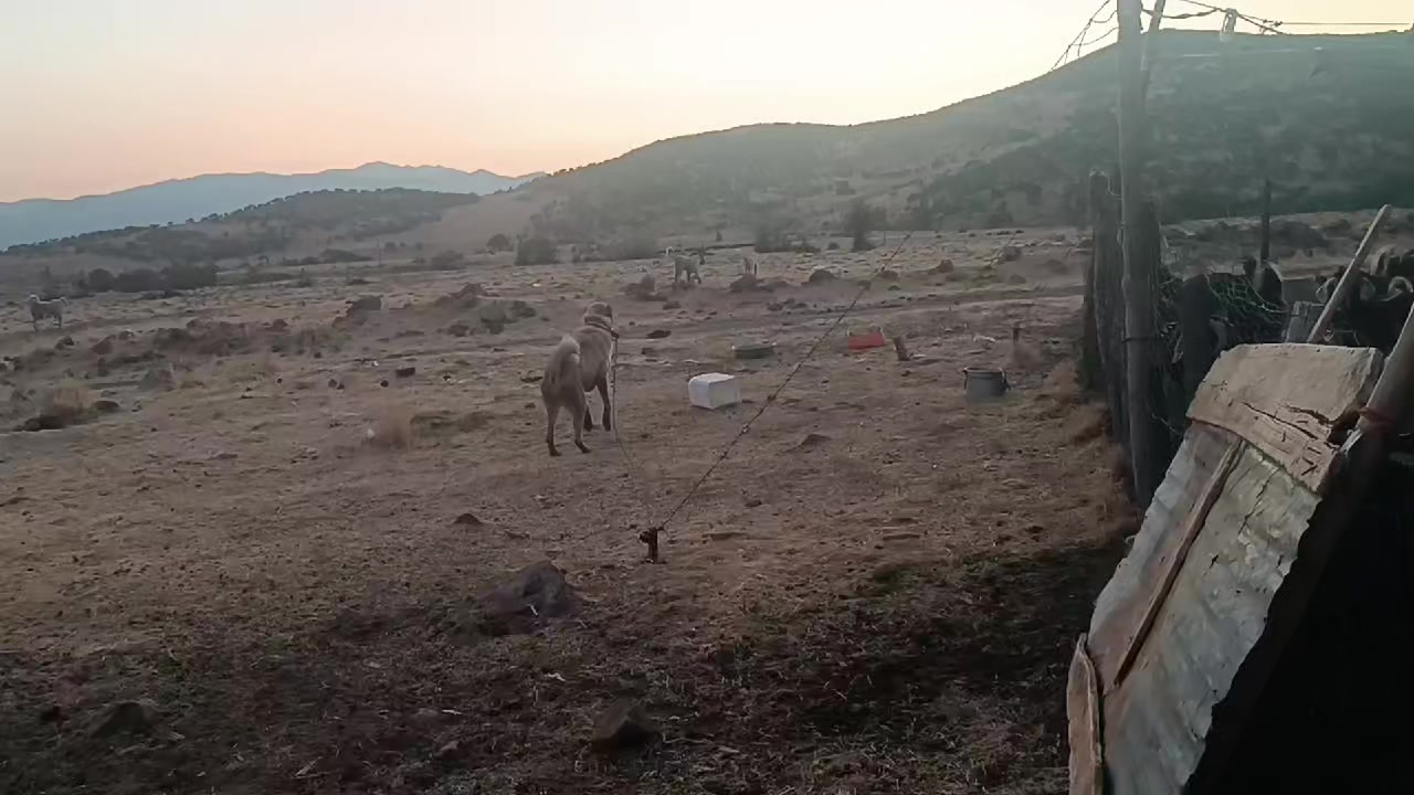 @koçer.12