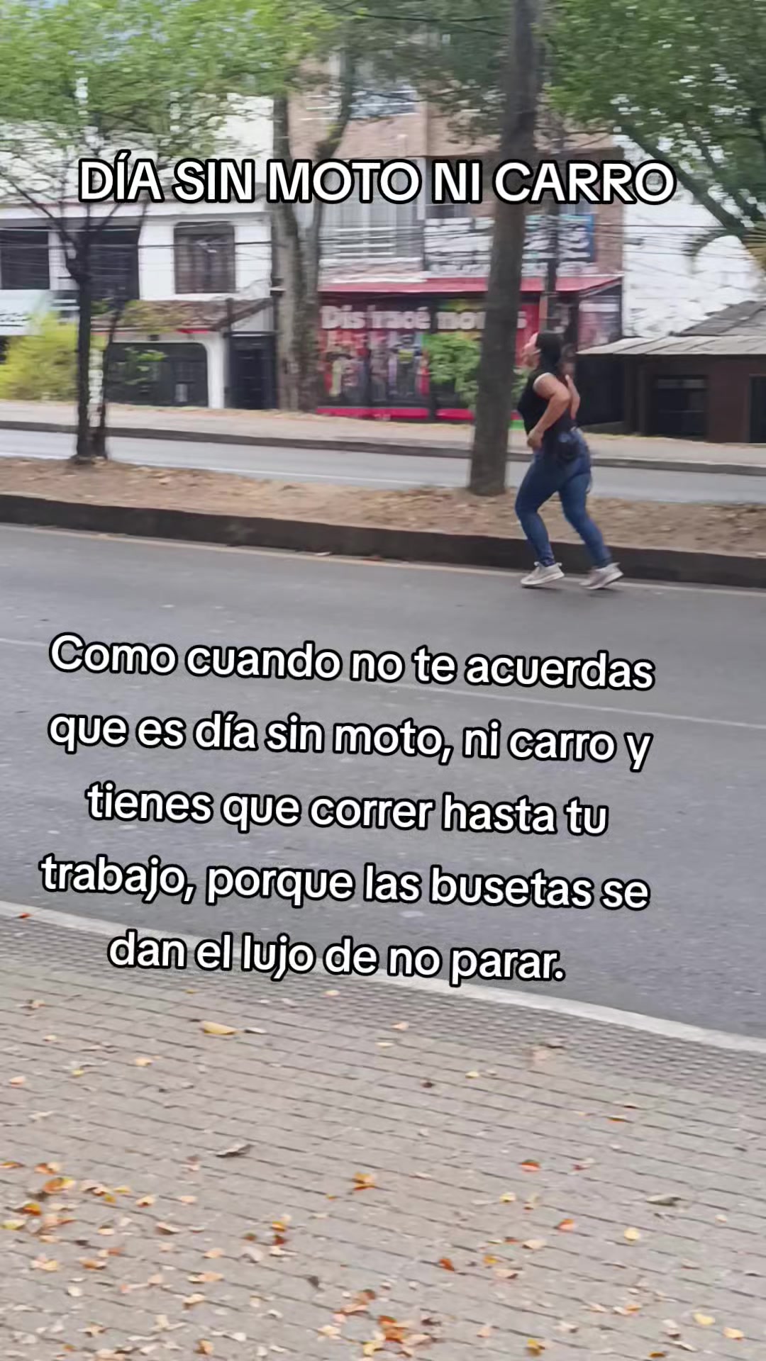@D.XR