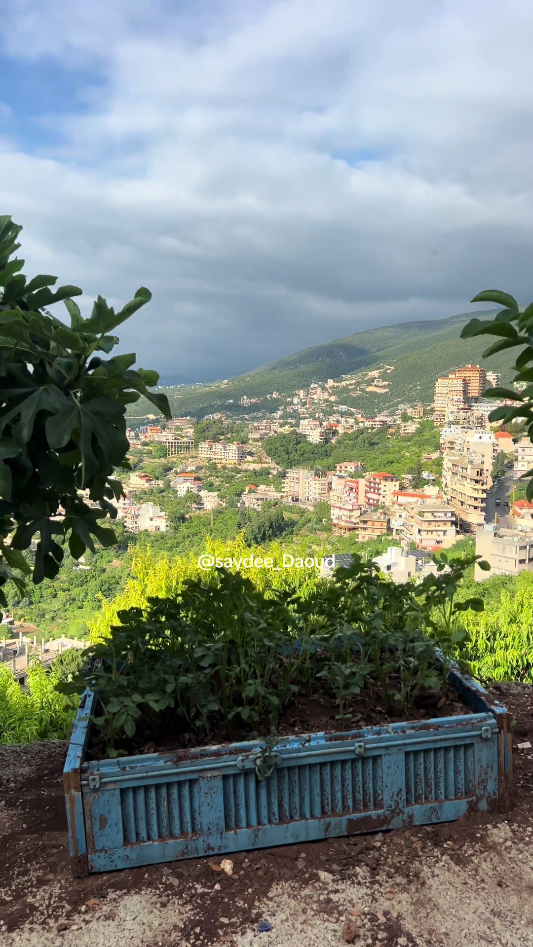 @Saydee | سيدة