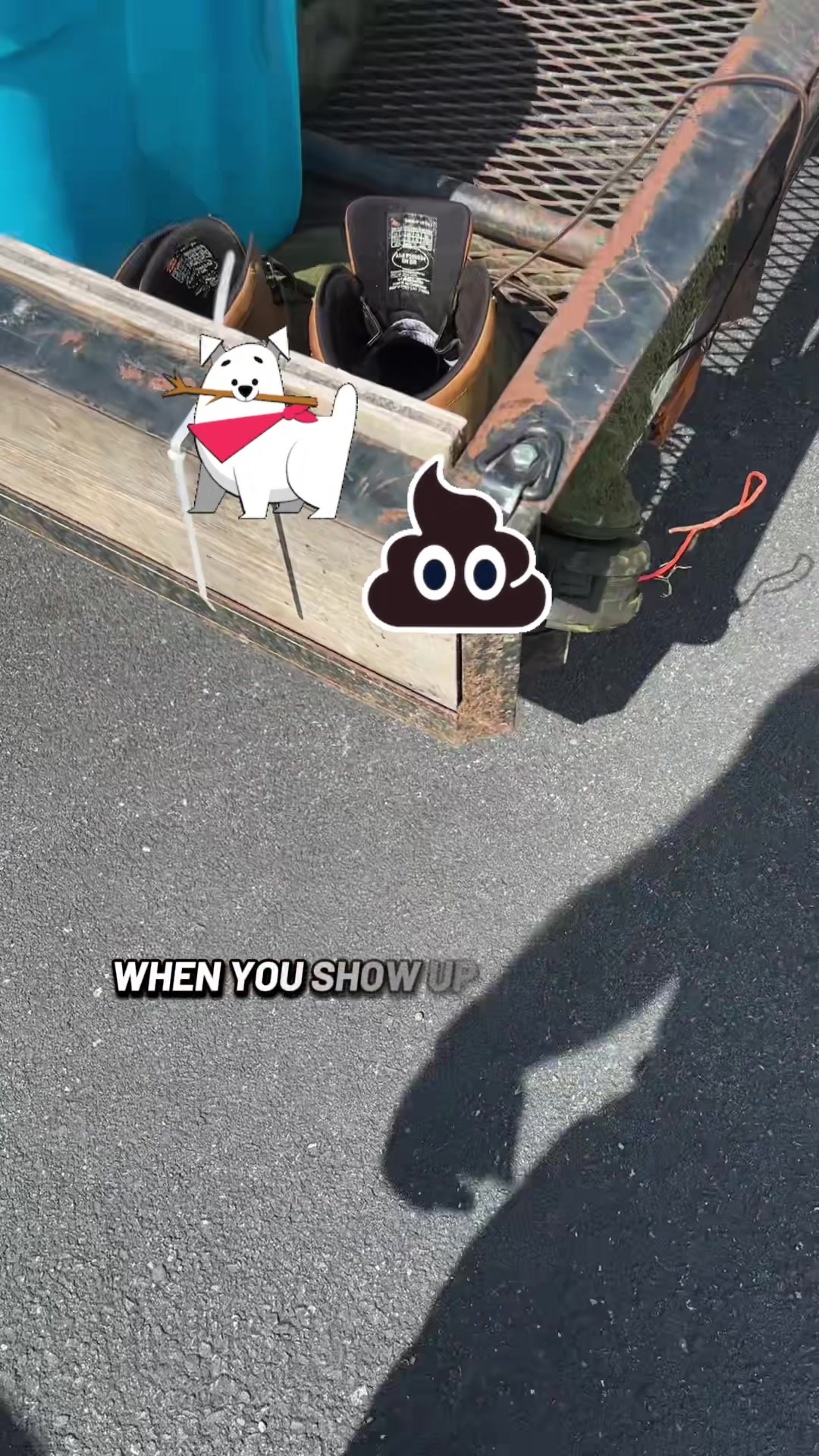 @Huskyfella