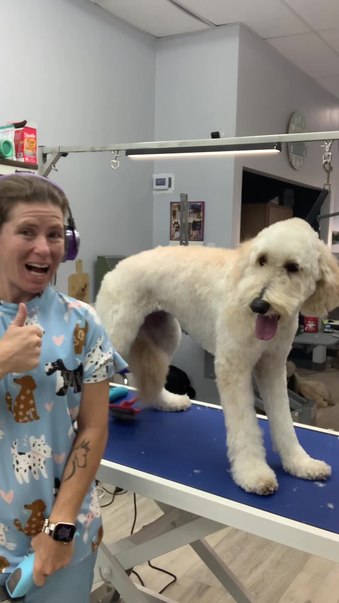 @Gadget groomer
