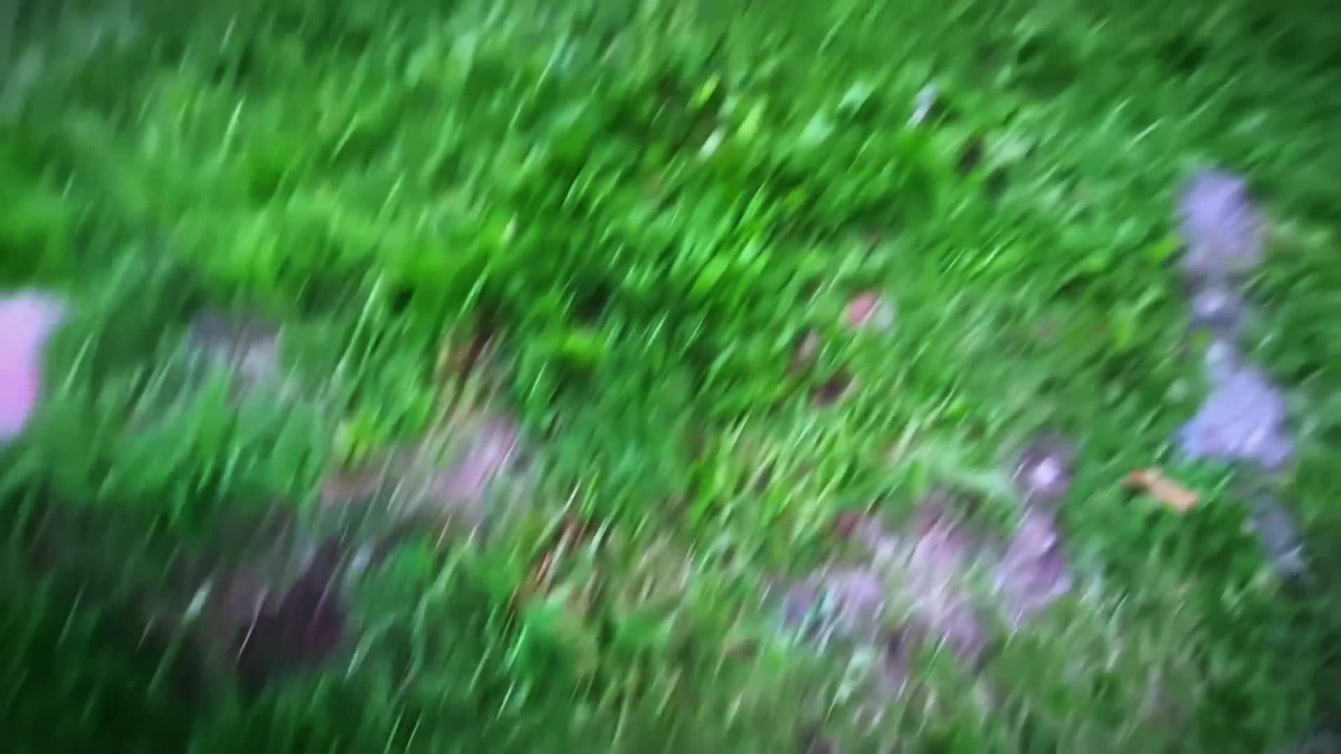 @mzk