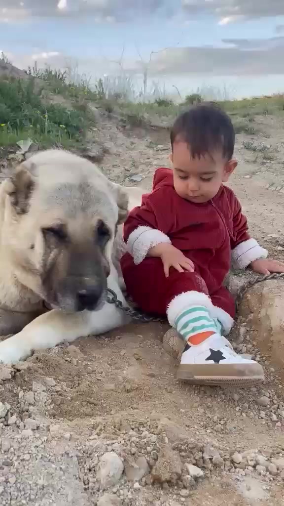 @kayaahmet50