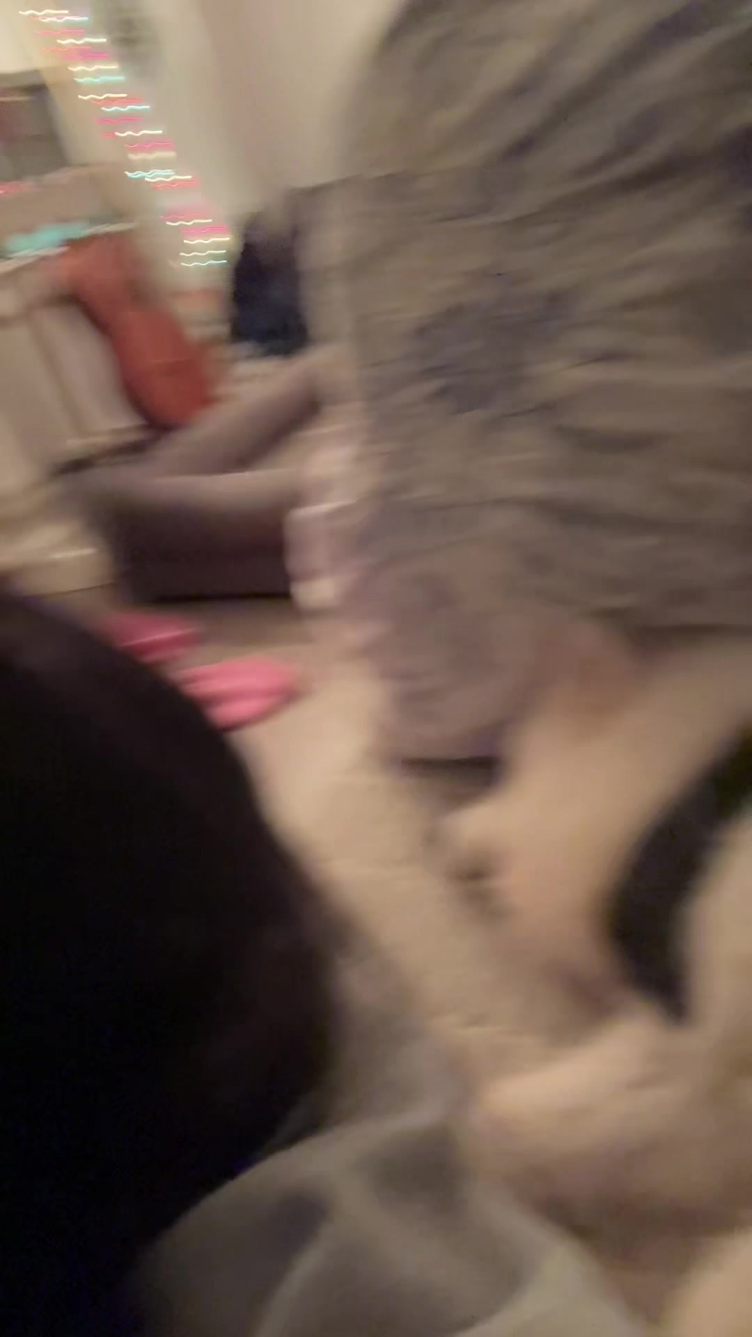 @gens_pups