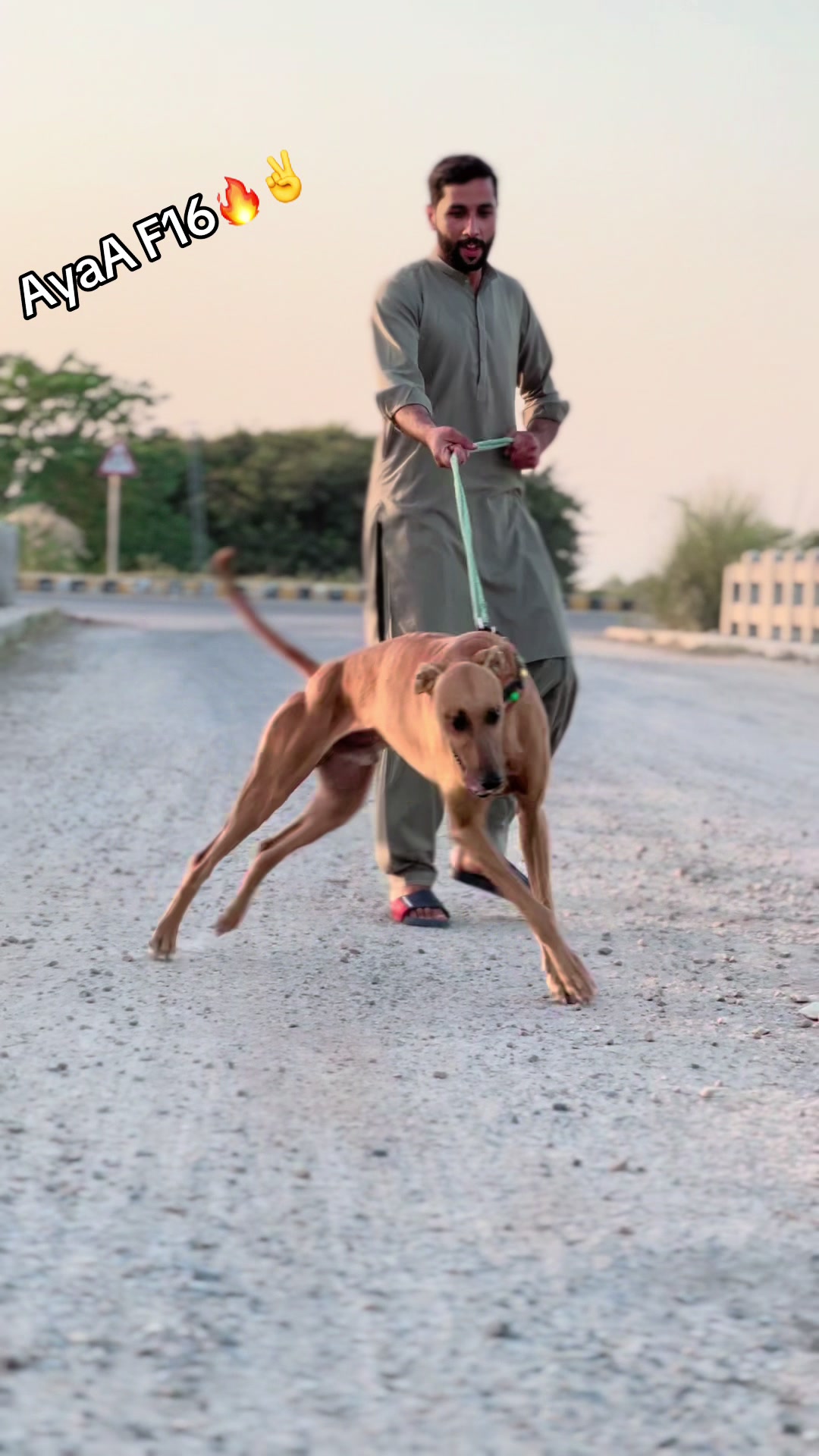 @جٹ ہنٹنگ کلب گڑھا جٹاں