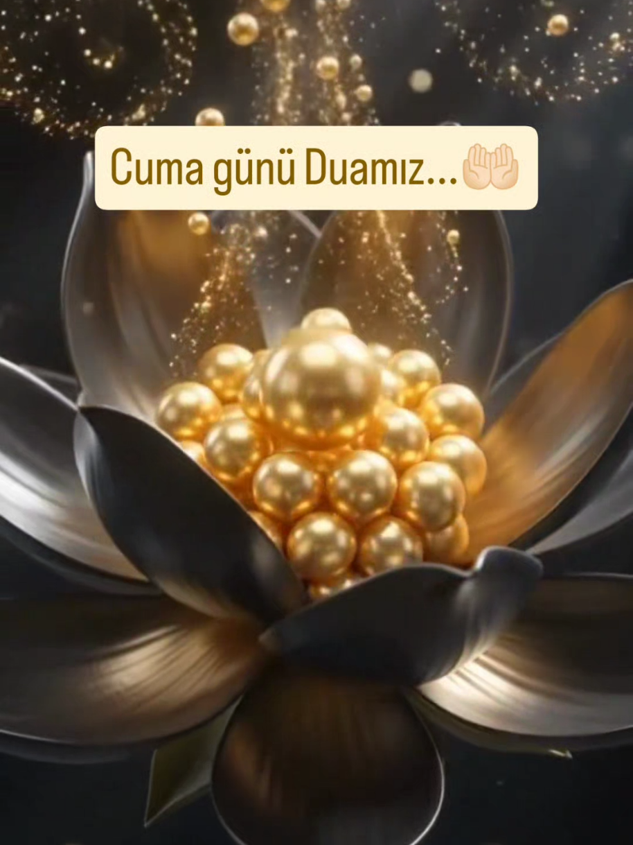 @hayat nereye gidiyor