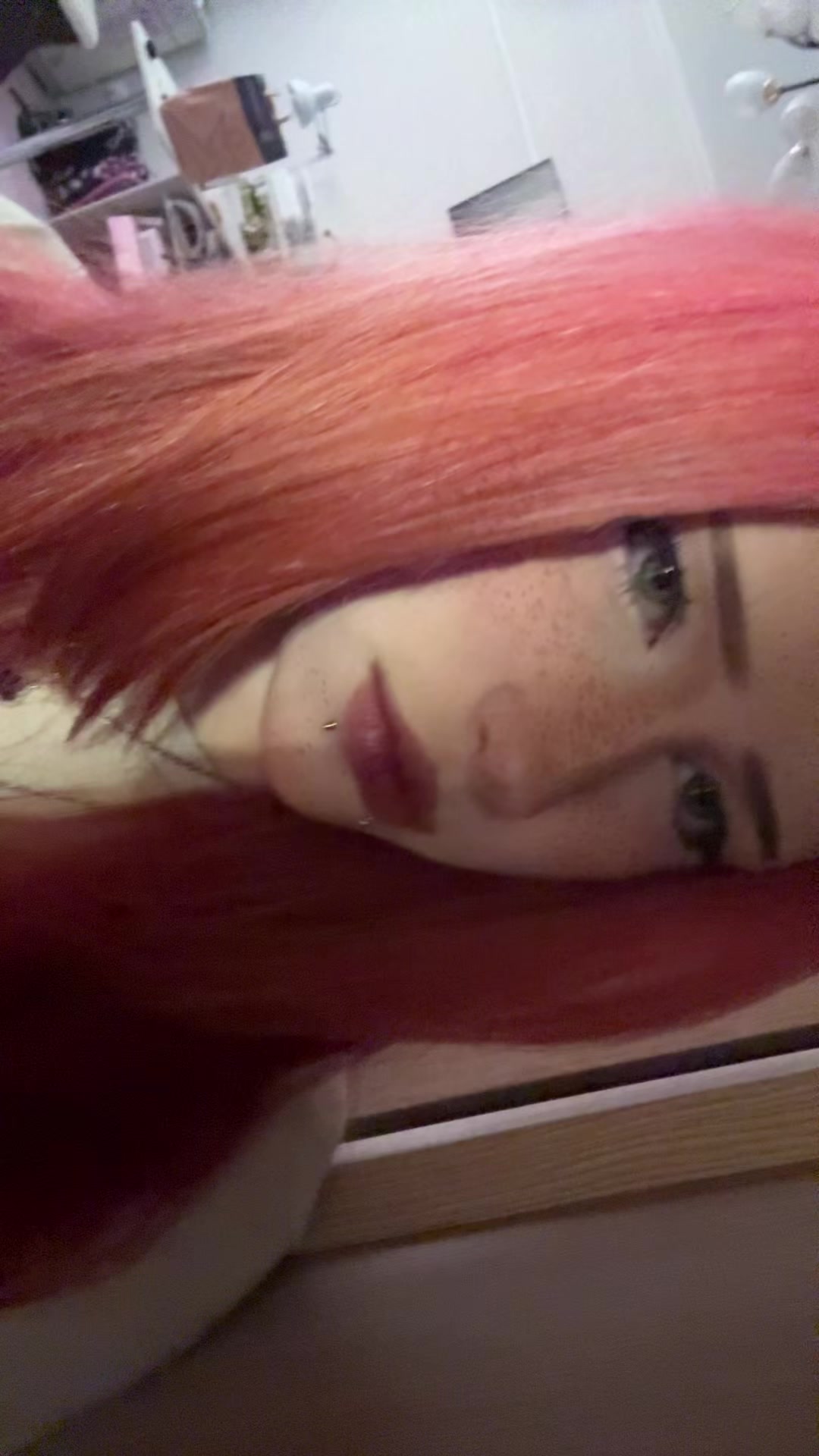 @kitten