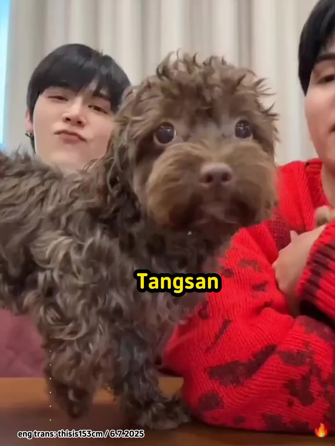 @bnfpxbnfp