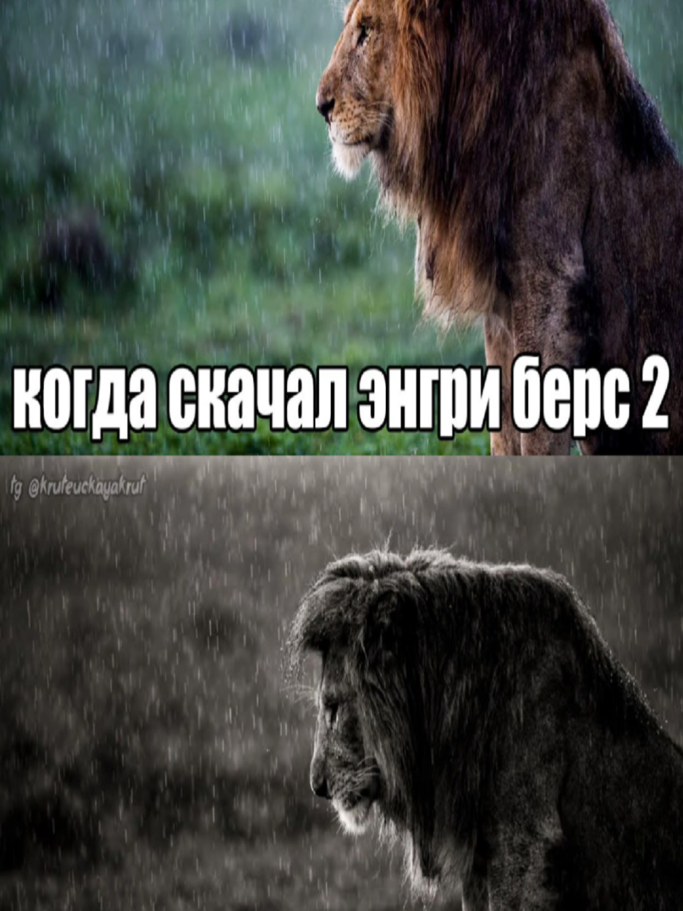 @крутецкая круть