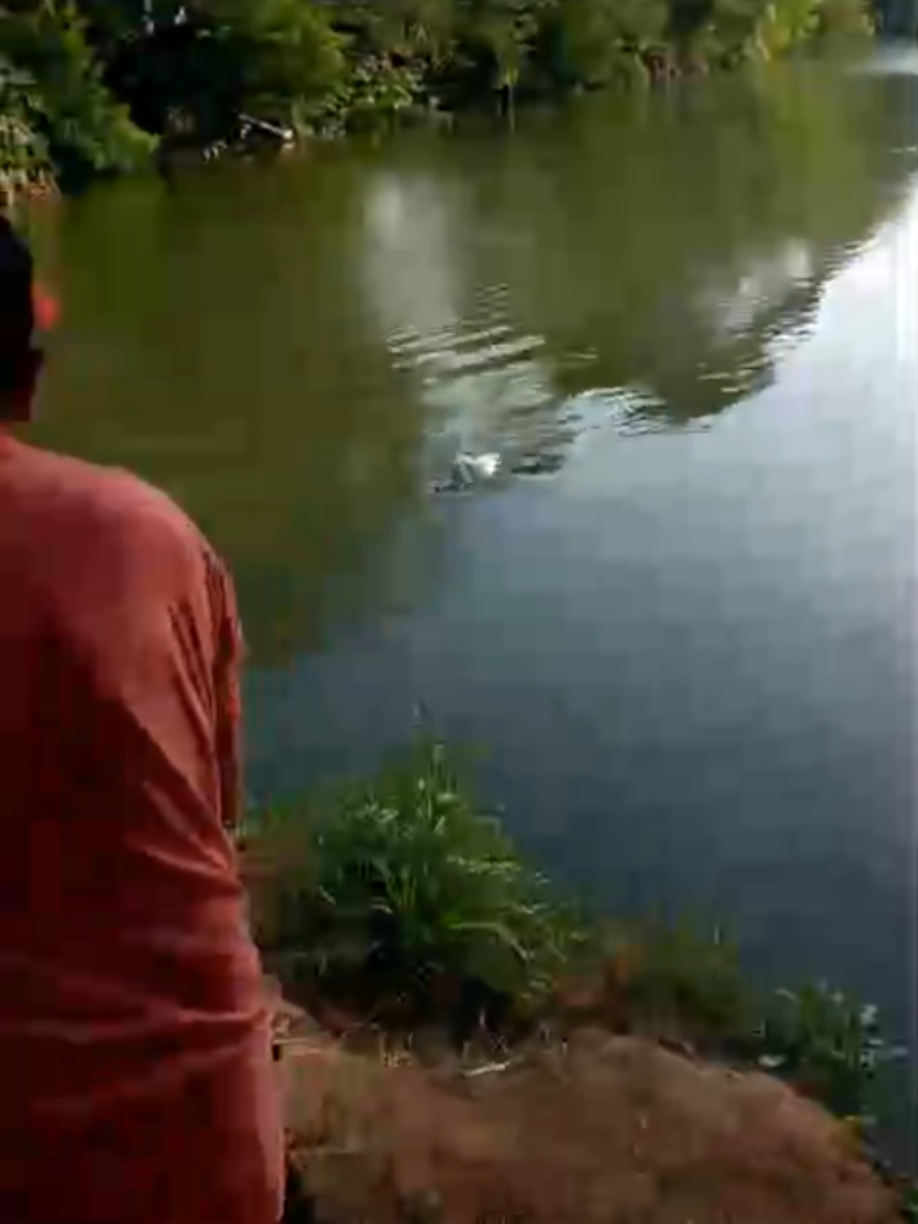 @SunnyFishingCR