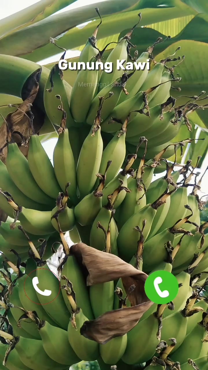 @EllyArdi✓🇲🇨
