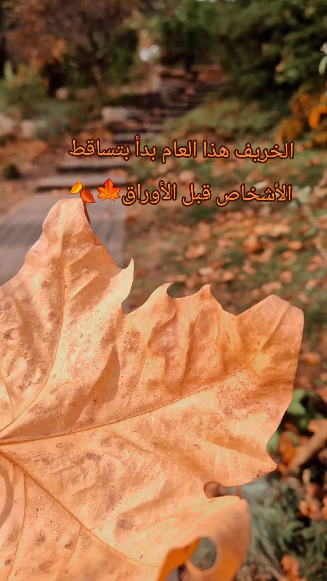 @👑♥️عسوله👑الذؤؤق♥️👑