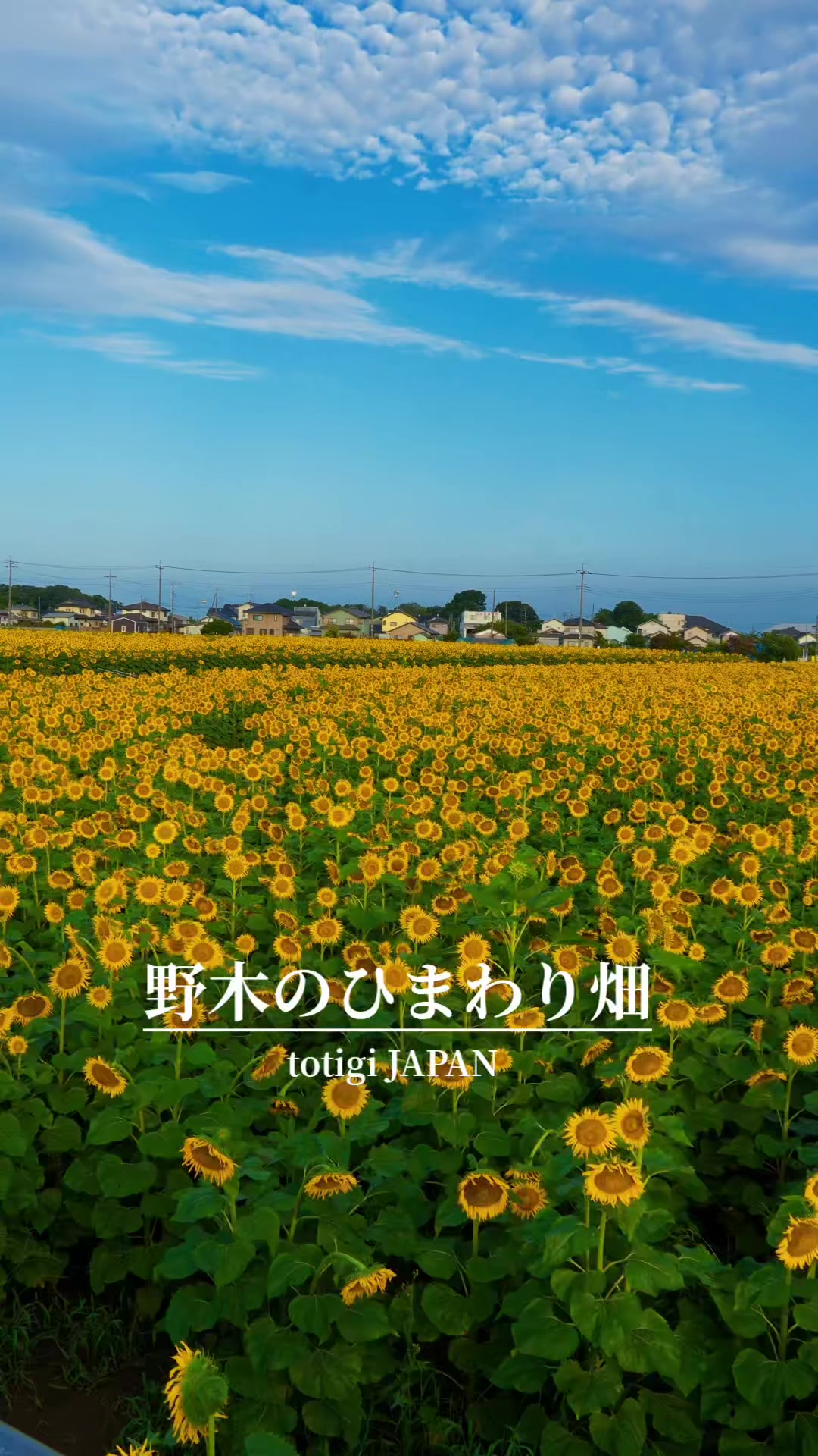 @tabi japan