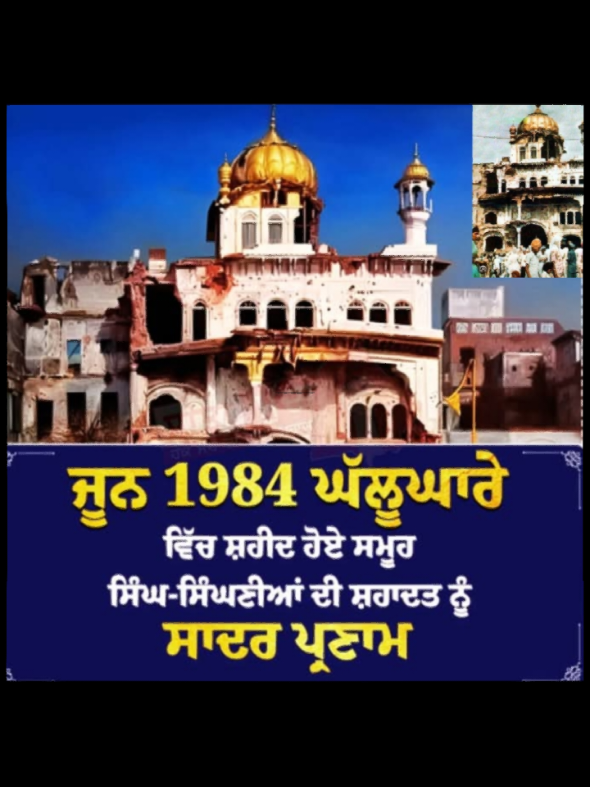 @punjabi media Australia