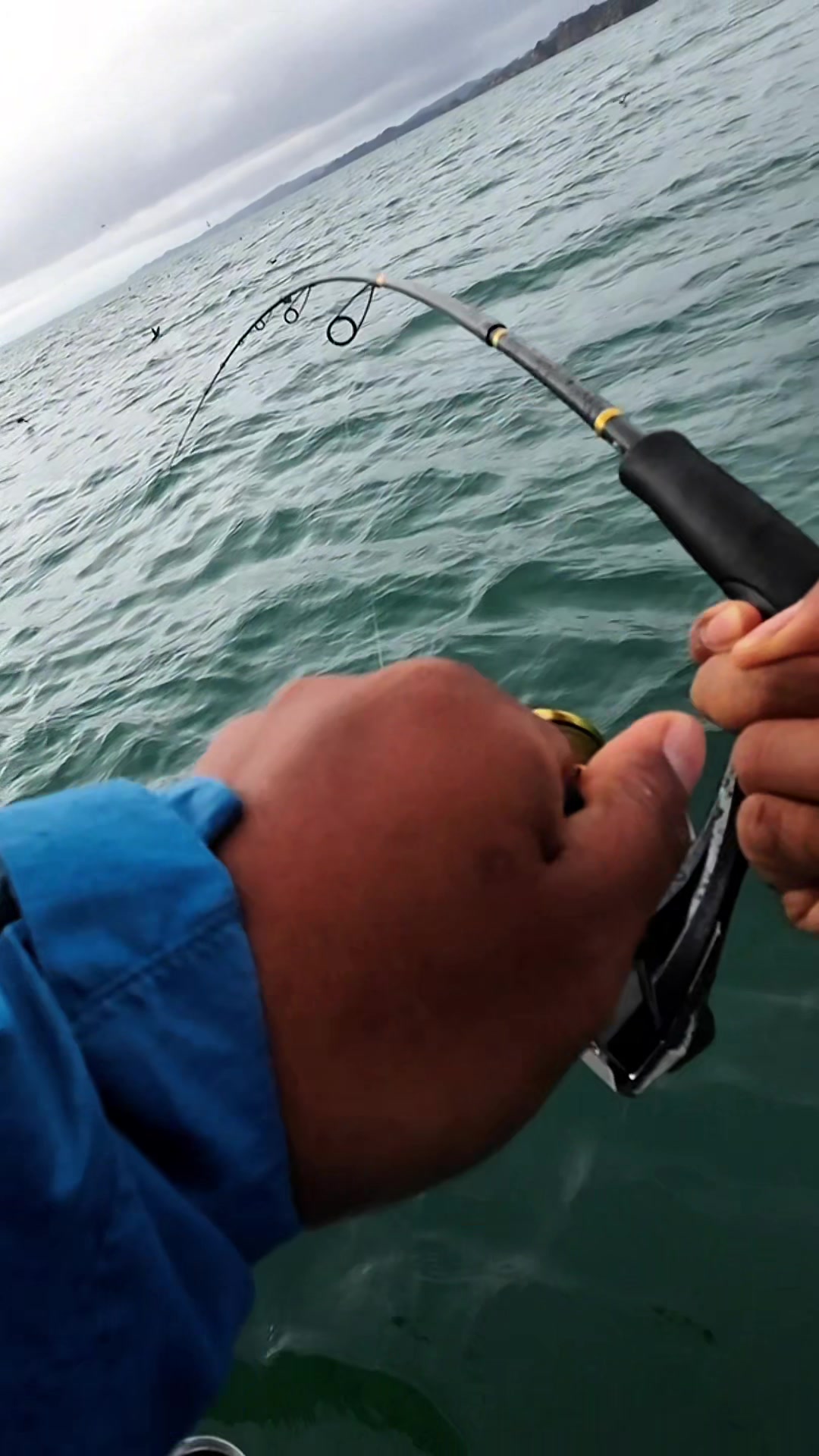 @Taqi Fishing