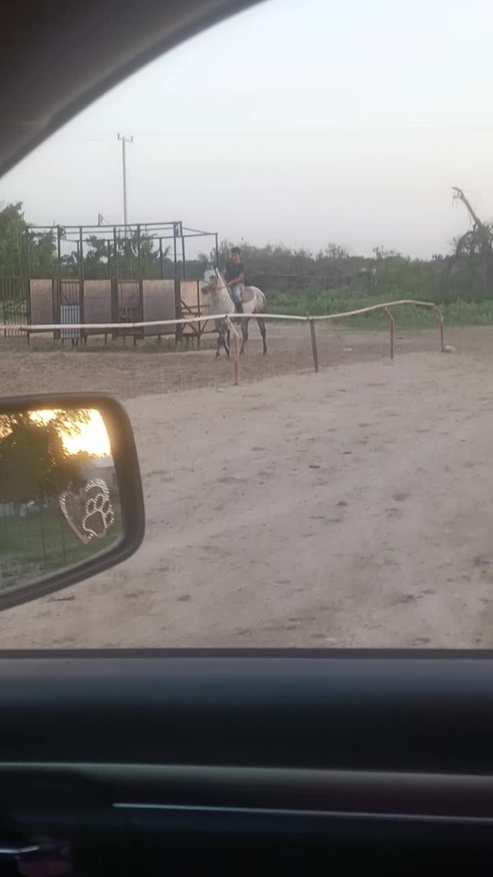 @🇲🇽EL CHAMÁN 🏇 🇲🇽