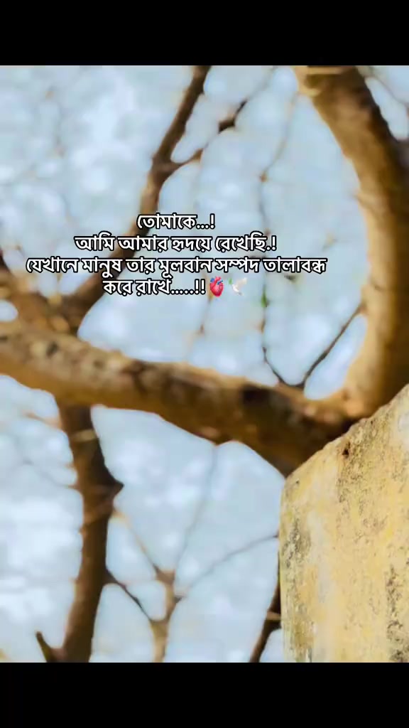 @Shakil Ahmmed