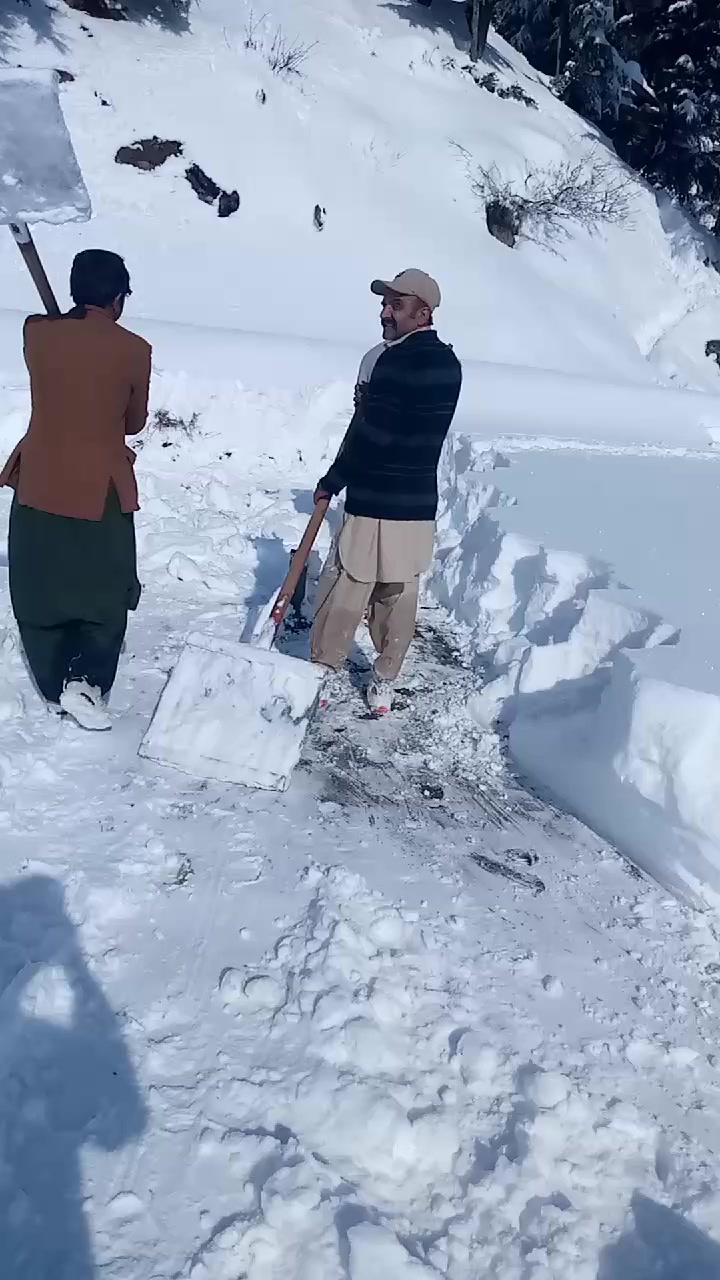 @jahangerkhan523