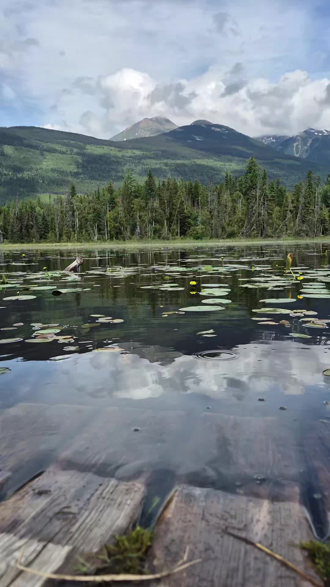 @Mooneyes199 🇨🇦