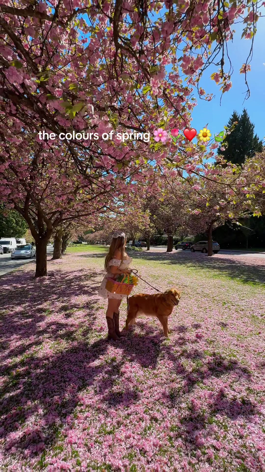 @Goldenmase