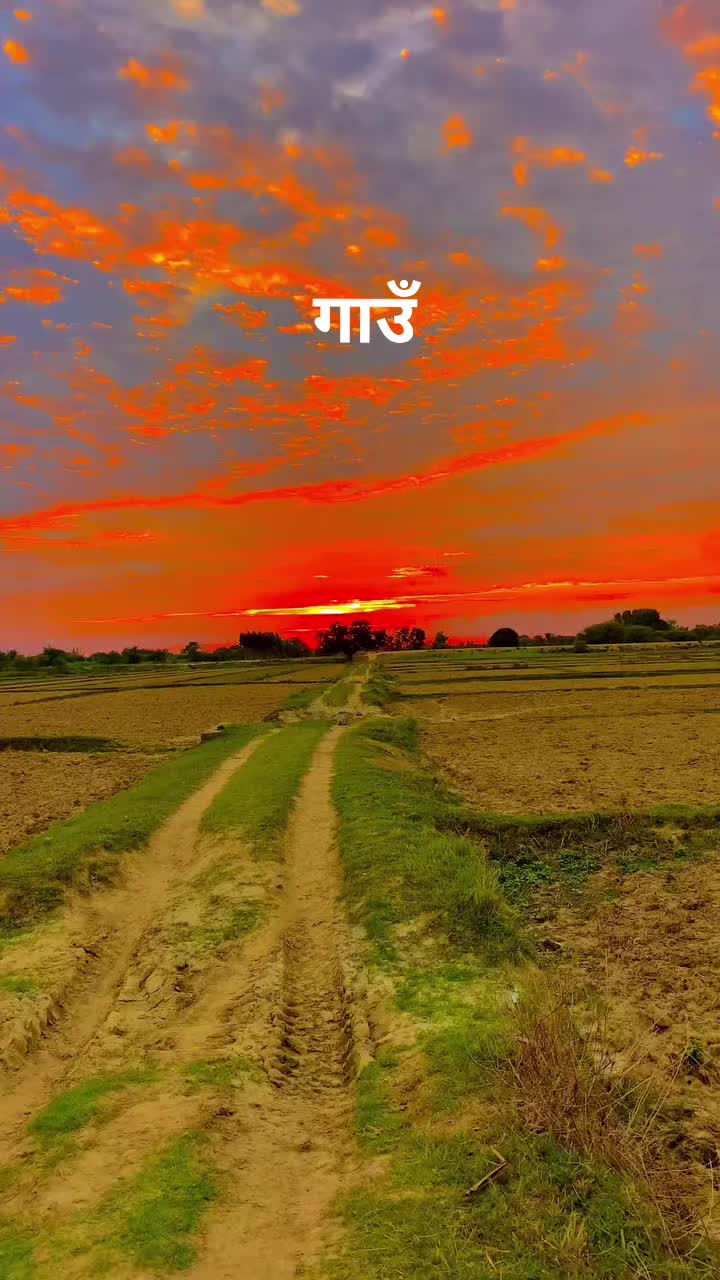 @ganesh kapar🕉️